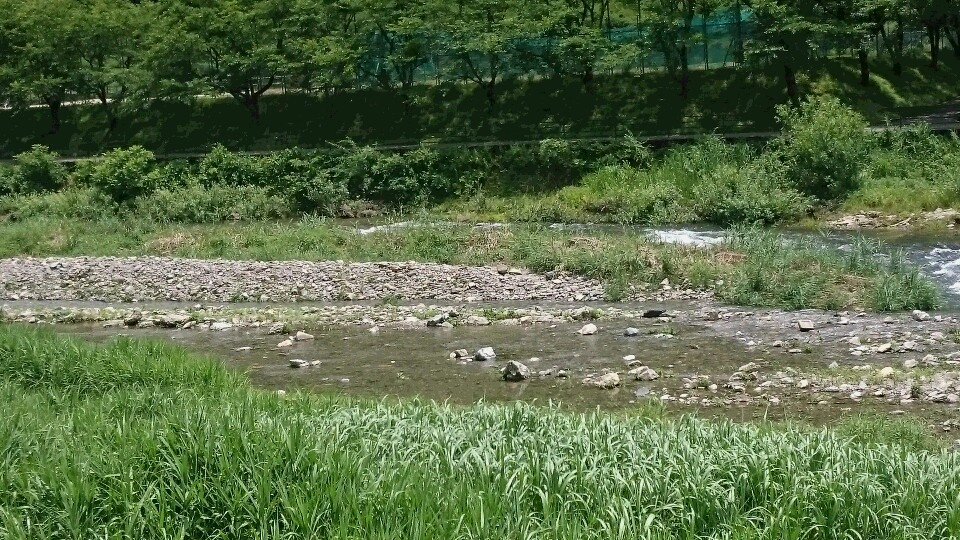 c0221718_19452191.jpg