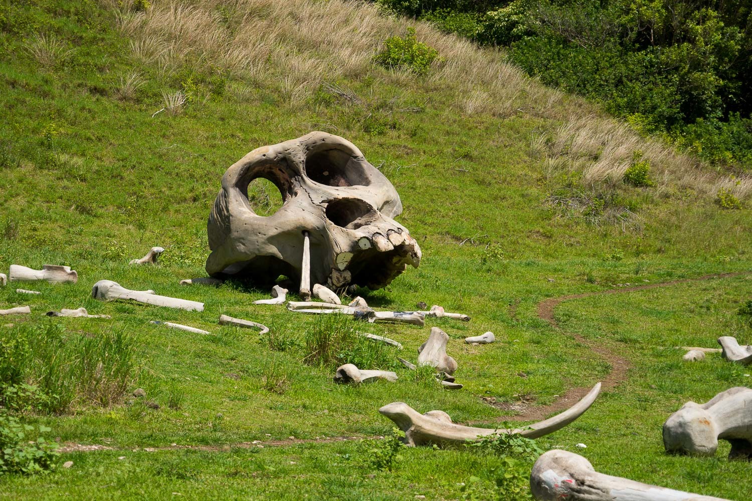 e0006219_18461940.jpg