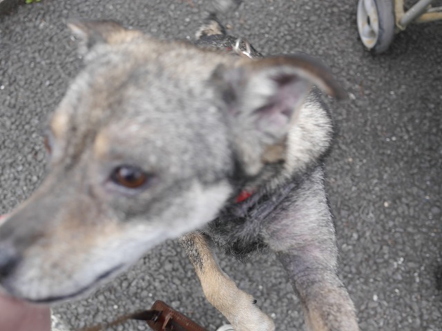 f0282319_00013300.jpg