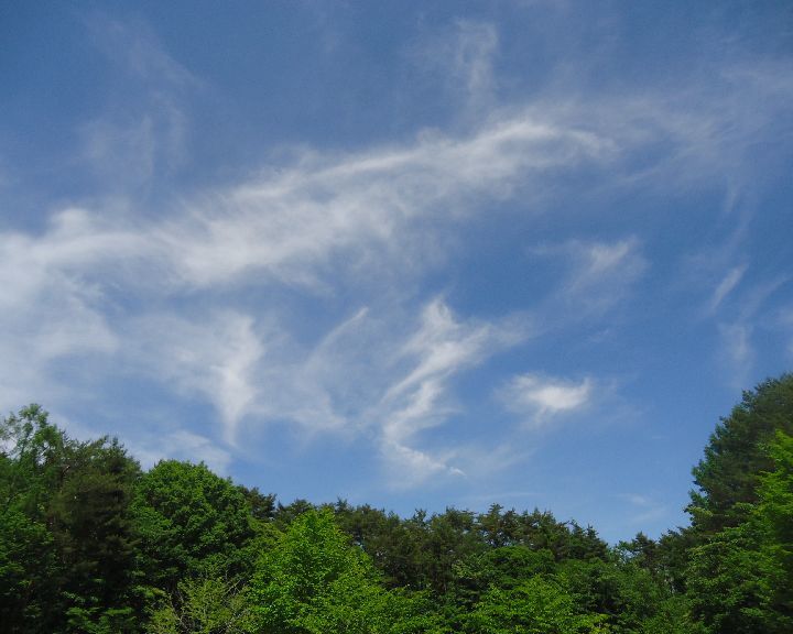 b0248920_07232690.jpg