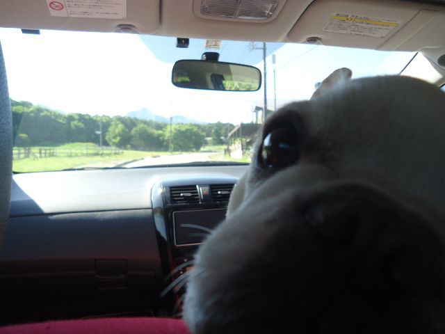 b0248920_07244114.jpg