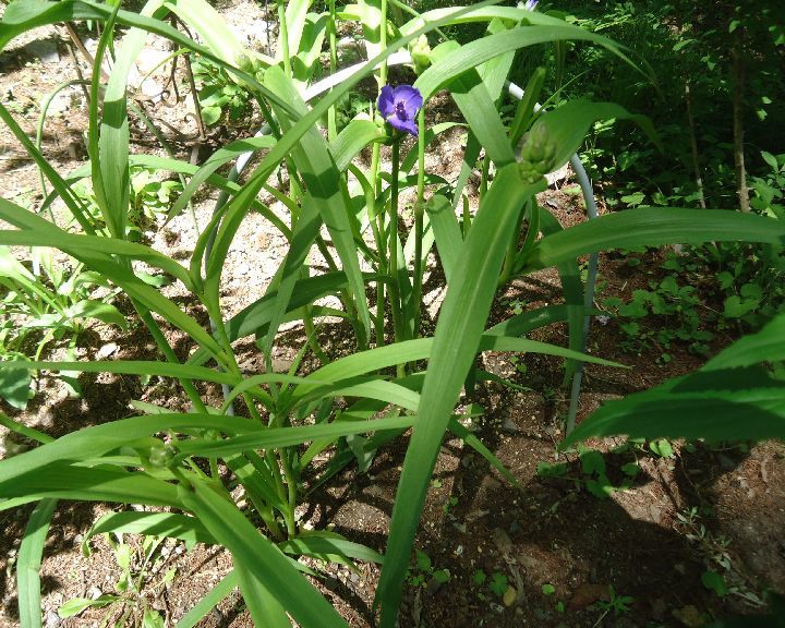b0248920_07355010.jpg
