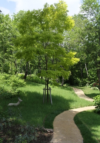 e0206820_20213255.jpg