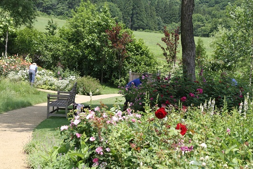 e0206820_20215321.jpg