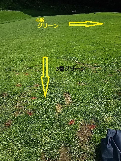 f0227321_19331256.jpg