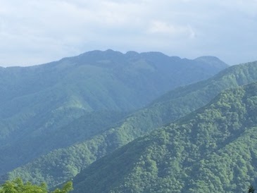 d0011725_07534044.jpg