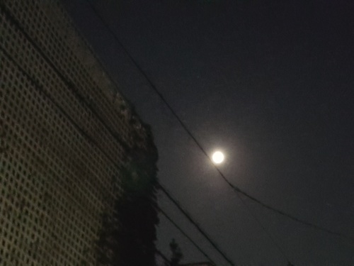 e0016828_11255499.jpg