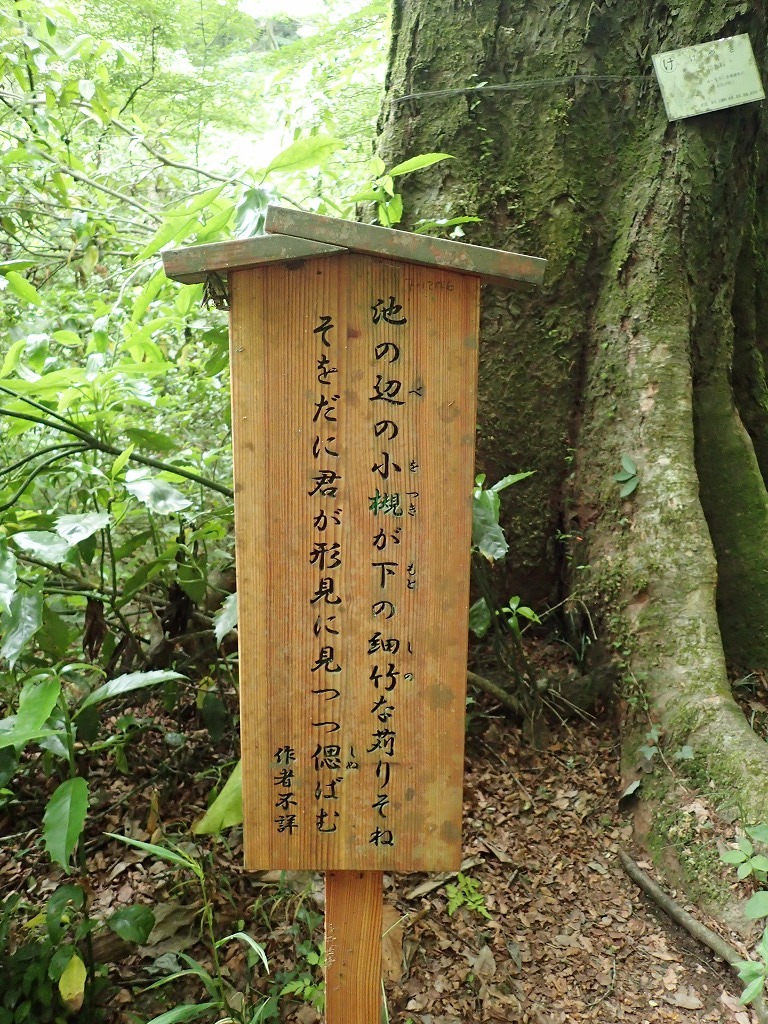 a0209630_21264086.jpg