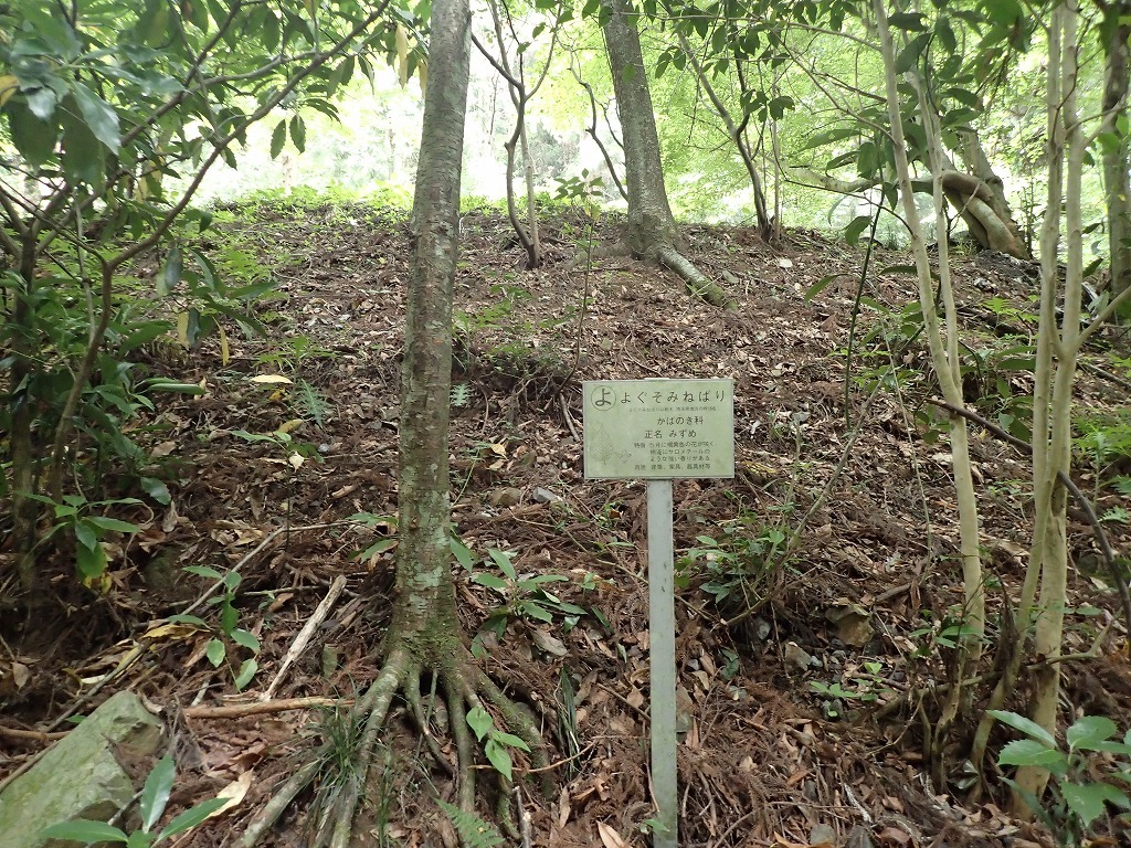 a0209630_21271004.jpg