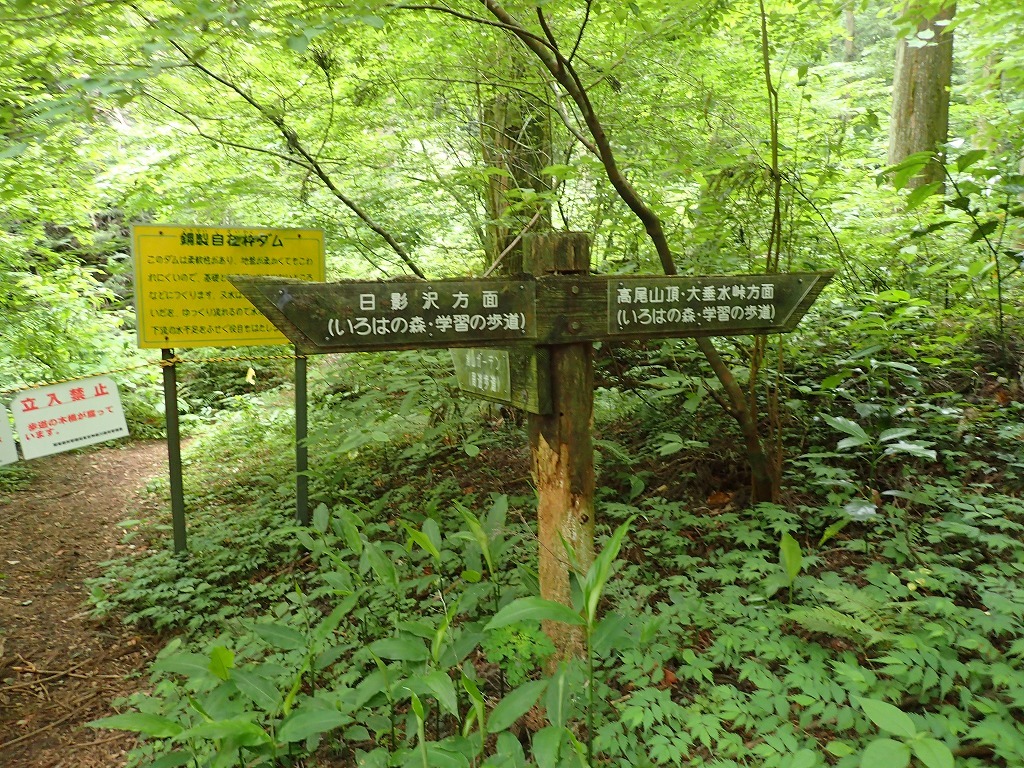 a0209630_21281485.jpg