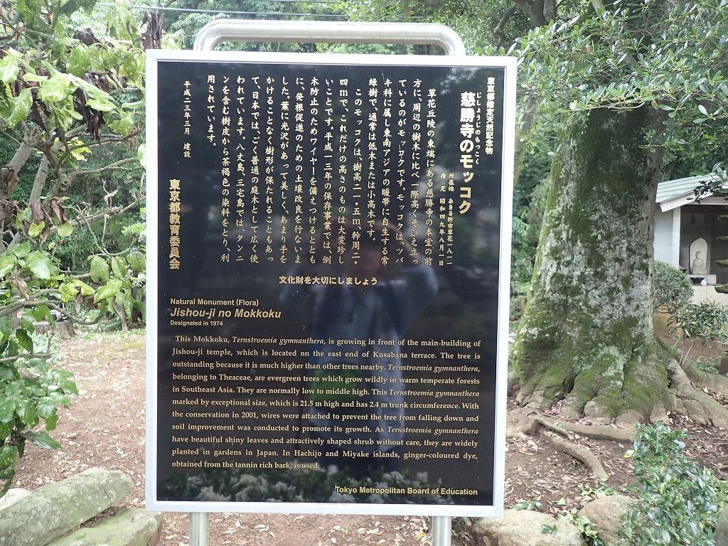a0209630_22122708.jpg