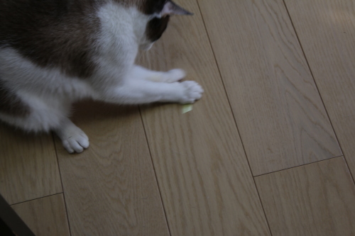 c0342535_15505649.jpg
