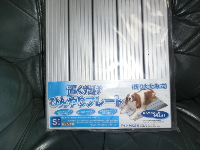 e0123136_21231535.jpg