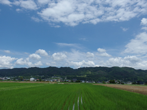 a0014840_10562942.jpg