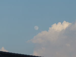 a0014840_21172161.jpg