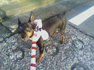 e0150843_2317028.jpg