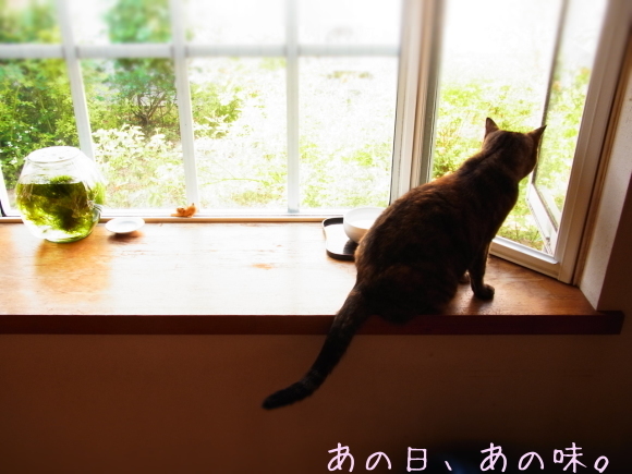 a0305046_10194400.jpg
