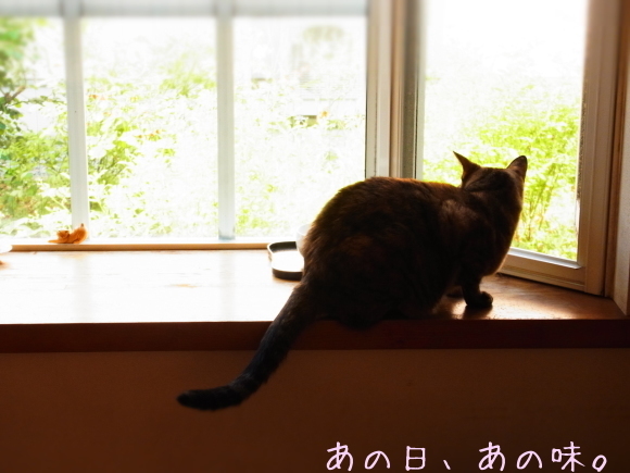a0305046_10210221.jpg