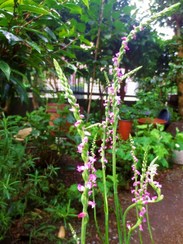 b0248954_06092990.jpg
