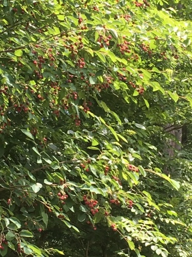 e0325660_18184313.jpg