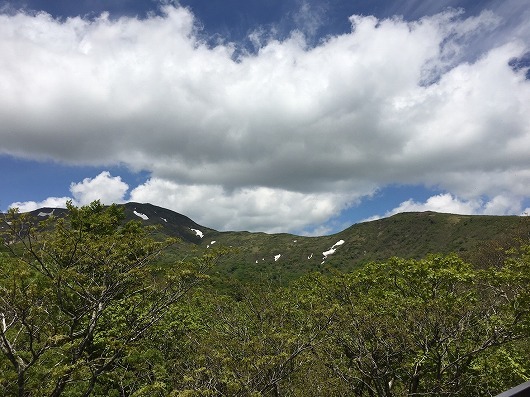 b0145863_00051393.jpg