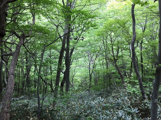 b0145863_00052595.jpg