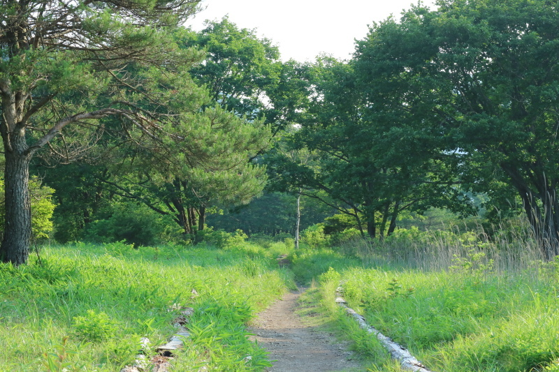 f0345263_22391493.jpg