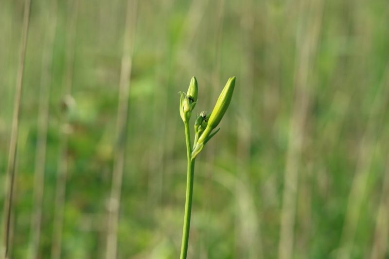 f0345263_22402751.jpg