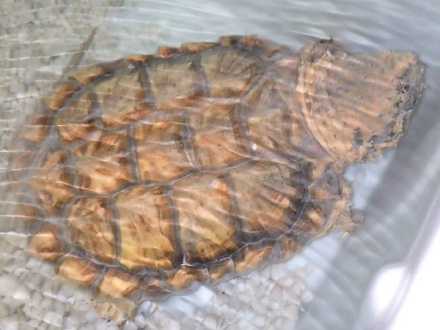 c0105569_01384569.jpg