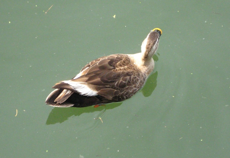 b0057679_08310454.jpg