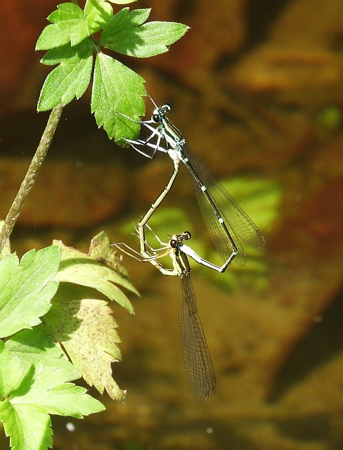 f0378979_05570749.jpg
