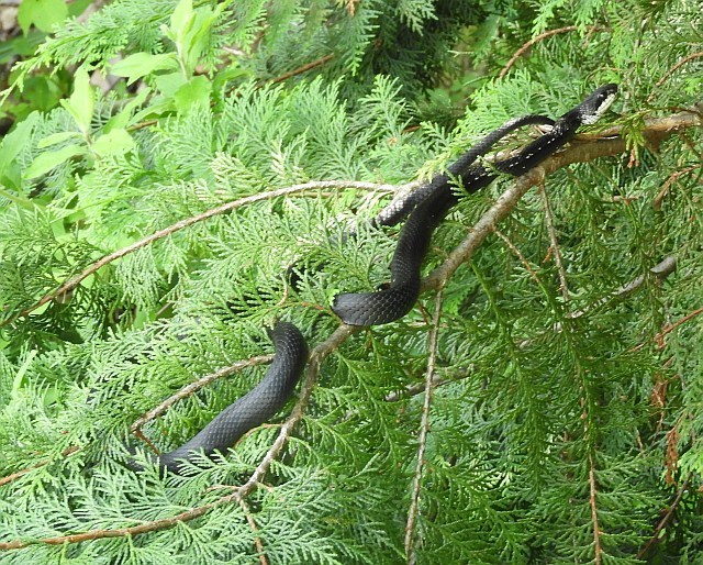 f0378979_05584877.jpg
