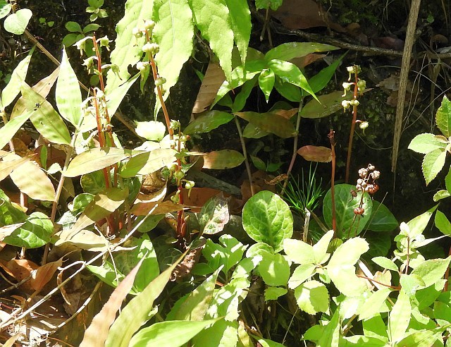 f0378979_06235917.jpg