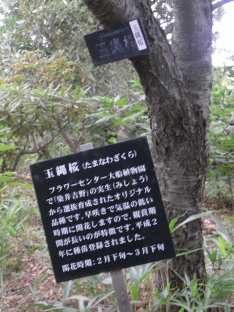 e0361081_15515885.jpg