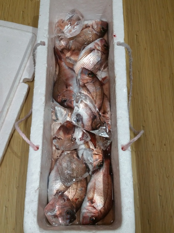 f0094082_17541979.jpg