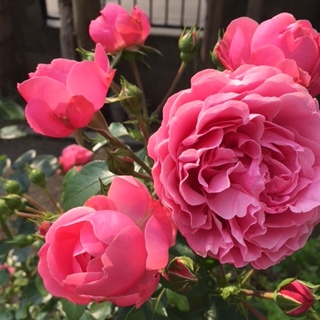 b0173390_08591196.jpg