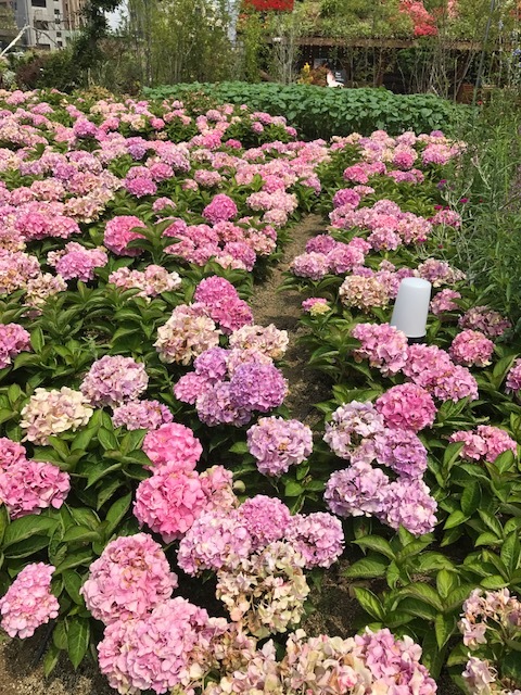 f0204295_09471737.jpg