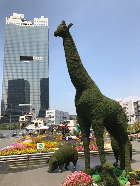 f0204295_10025781.jpg