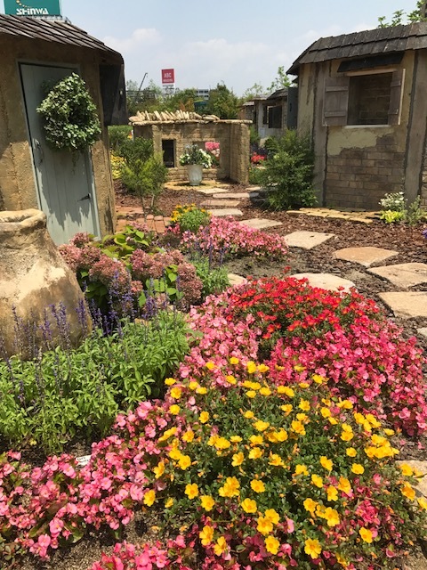 f0204295_10064245.jpg