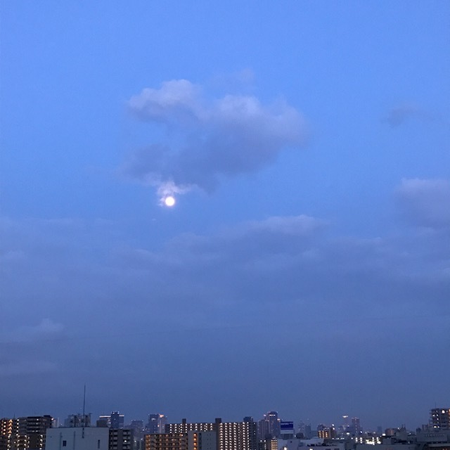 f0204295_19400992.jpg