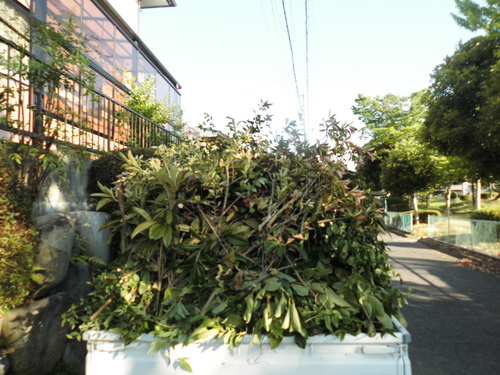 c0108198_18311938.jpg