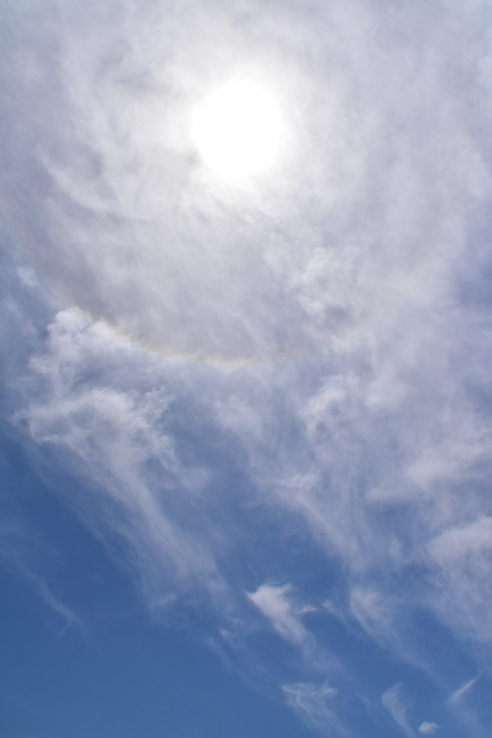 c0049299_22480920.jpg