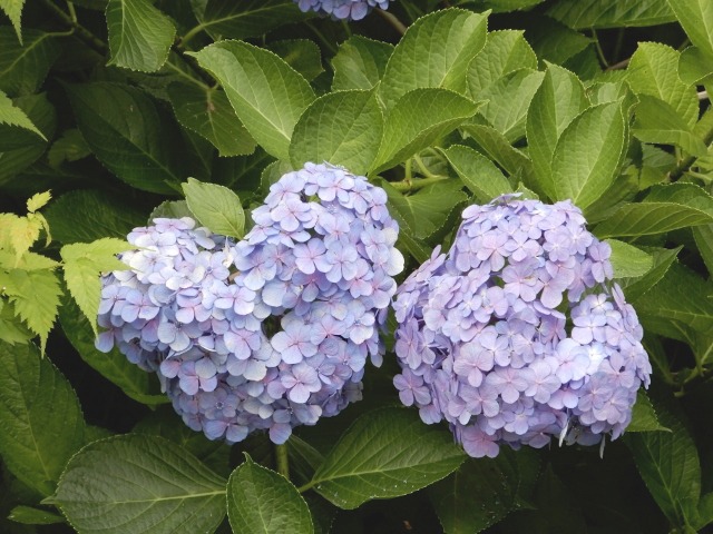 e0025300_15174759.jpg