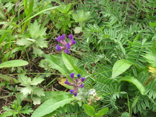 c0125501_11053247.jpg