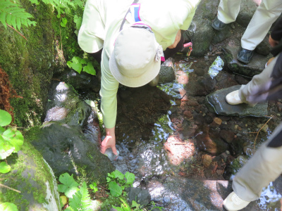 c0125501_22033968.jpg