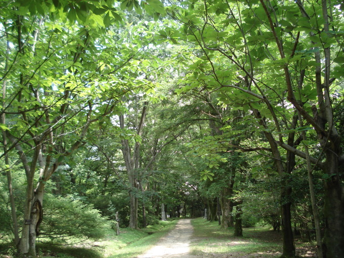 e0353802_17401524.jpg