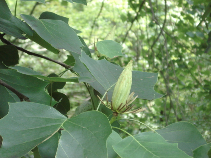 e0353802_17433141.jpg