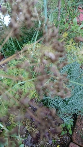 e0351303_20424616.jpg