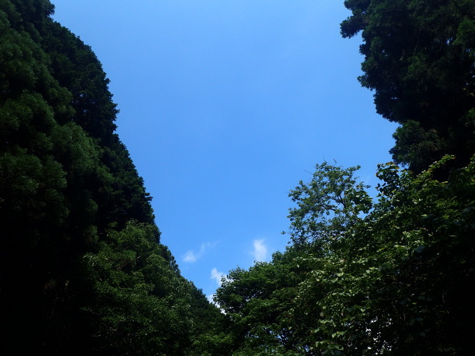 d0251807_08443059.jpg