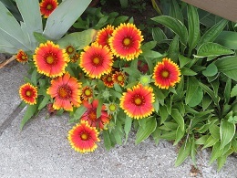 f0325309_17021981.jpg